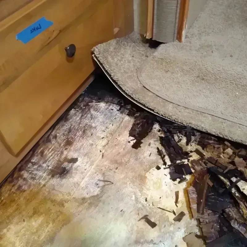 Wood Floor Water Damage in Union City, OK